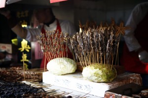 scorpions in beijing market food street