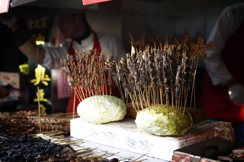 scorpions in beijing market food street