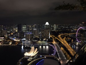 view from singapore marina sands hotel
