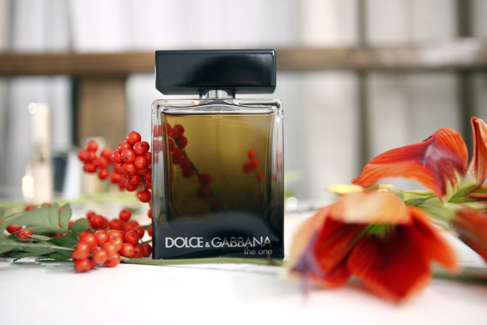dolce gabbana the one for man